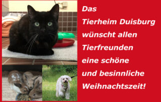 Frohe Weihnachten wünscht das Duisburger Tierheim Team