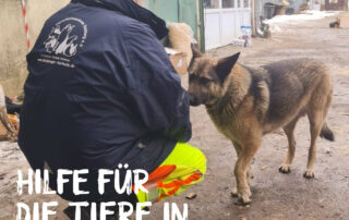 Zweite Spendenfahrt in die Ukranien