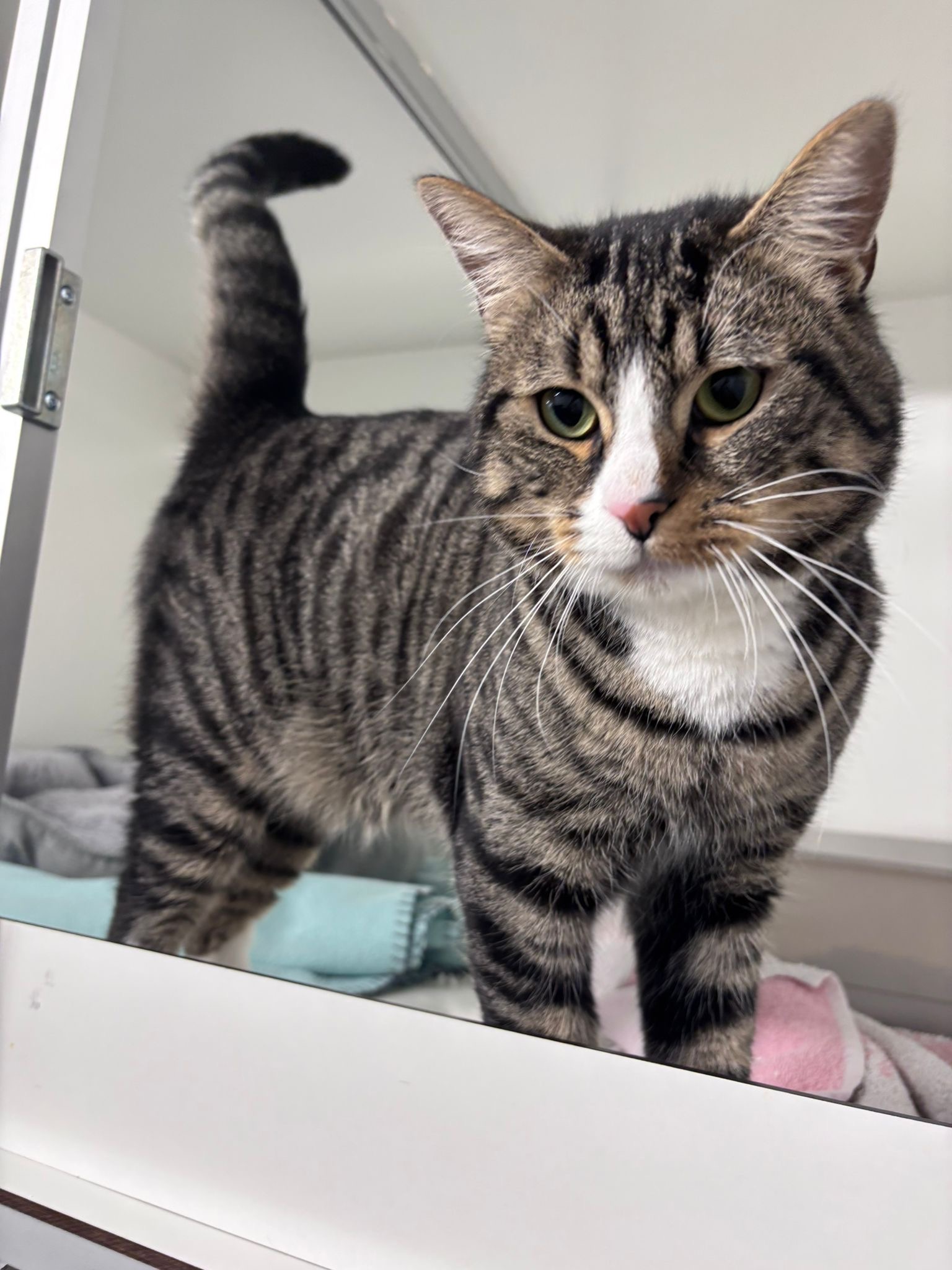 40f6aede-3f67-4bba-b06d-462aa214b238