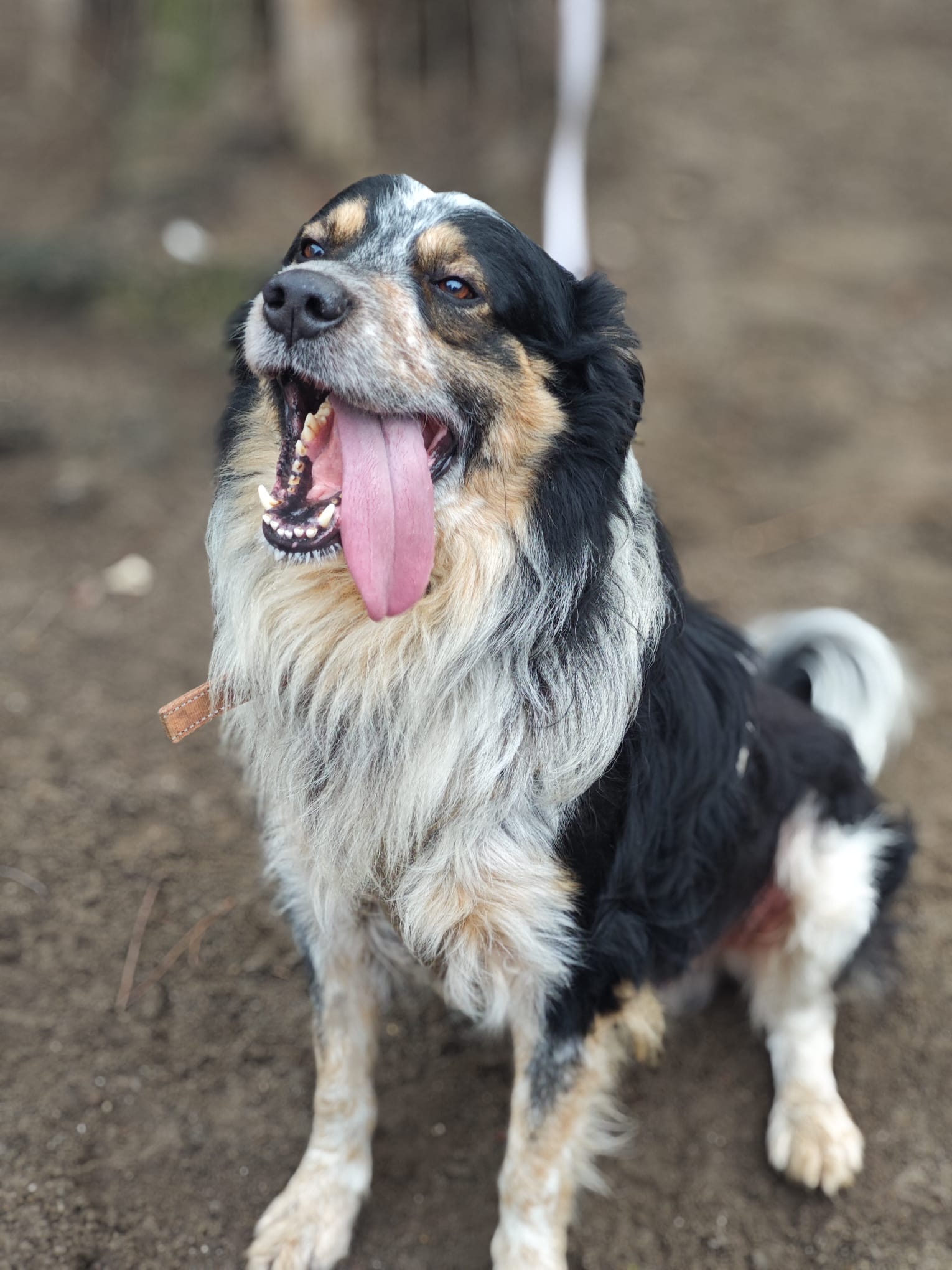 4b54afcf-cbb0-434a-a49e-38591adee31e