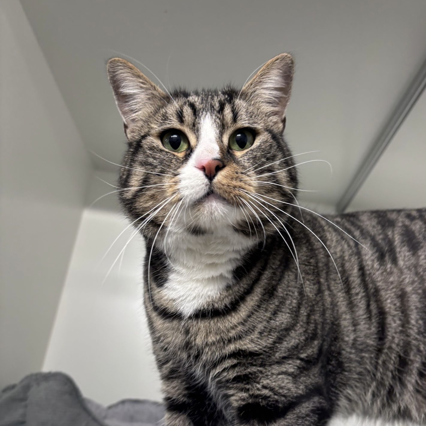 98cc57e8-2e7a-483e-9b9f-d2b7a30328d6