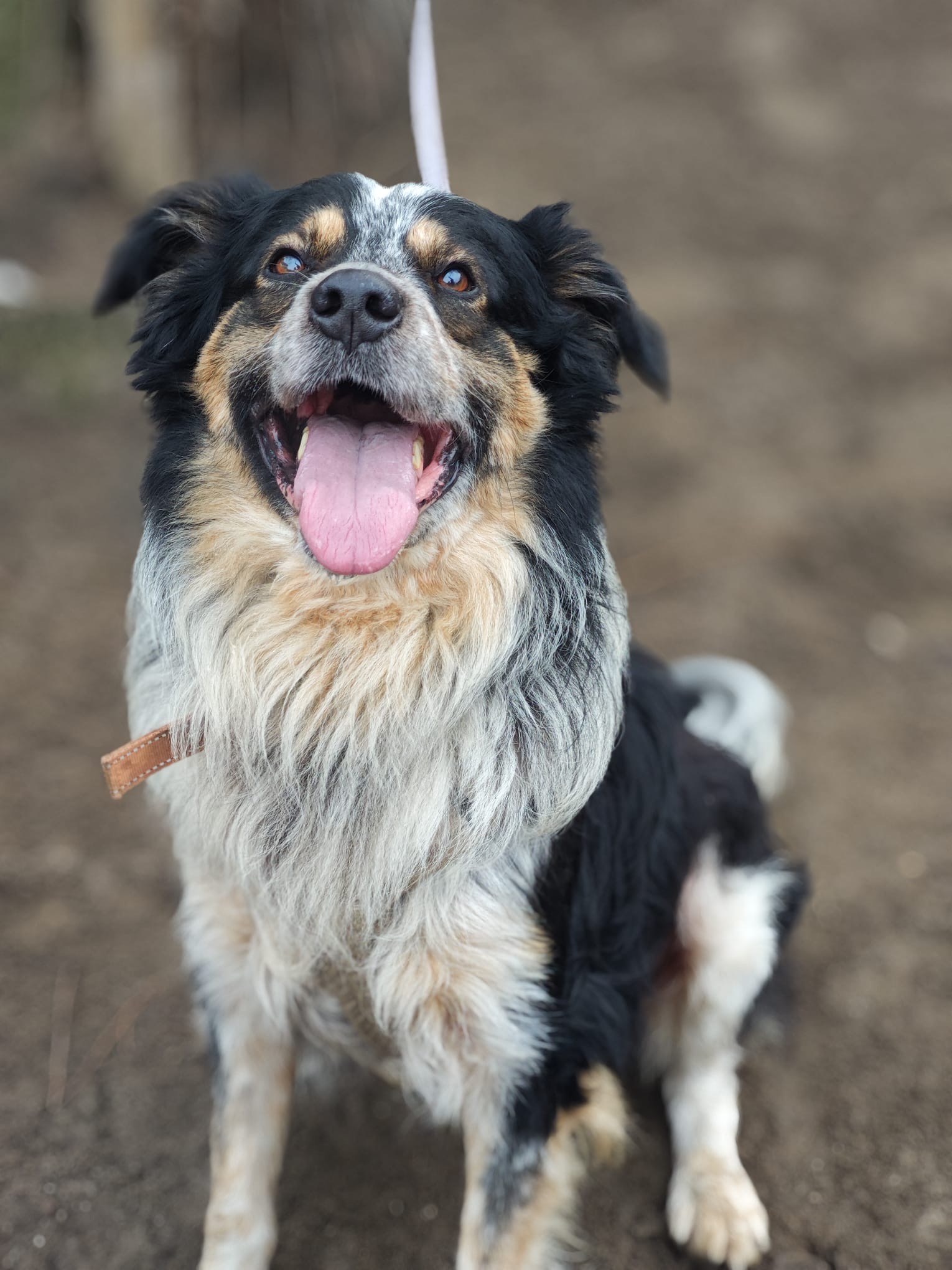 f5c4156c-b152-46bf-870b-67dc4bb6a76a