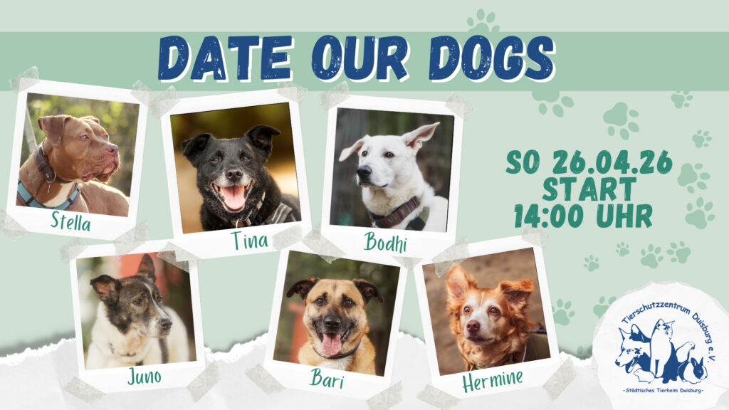 Date our Dogs – 26.04.2026